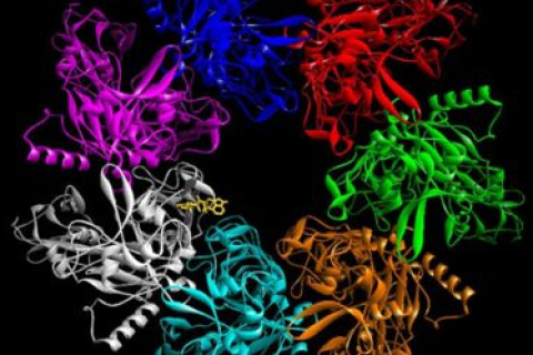 谷歌人工智能推出新工具，遗传病研究新路径？